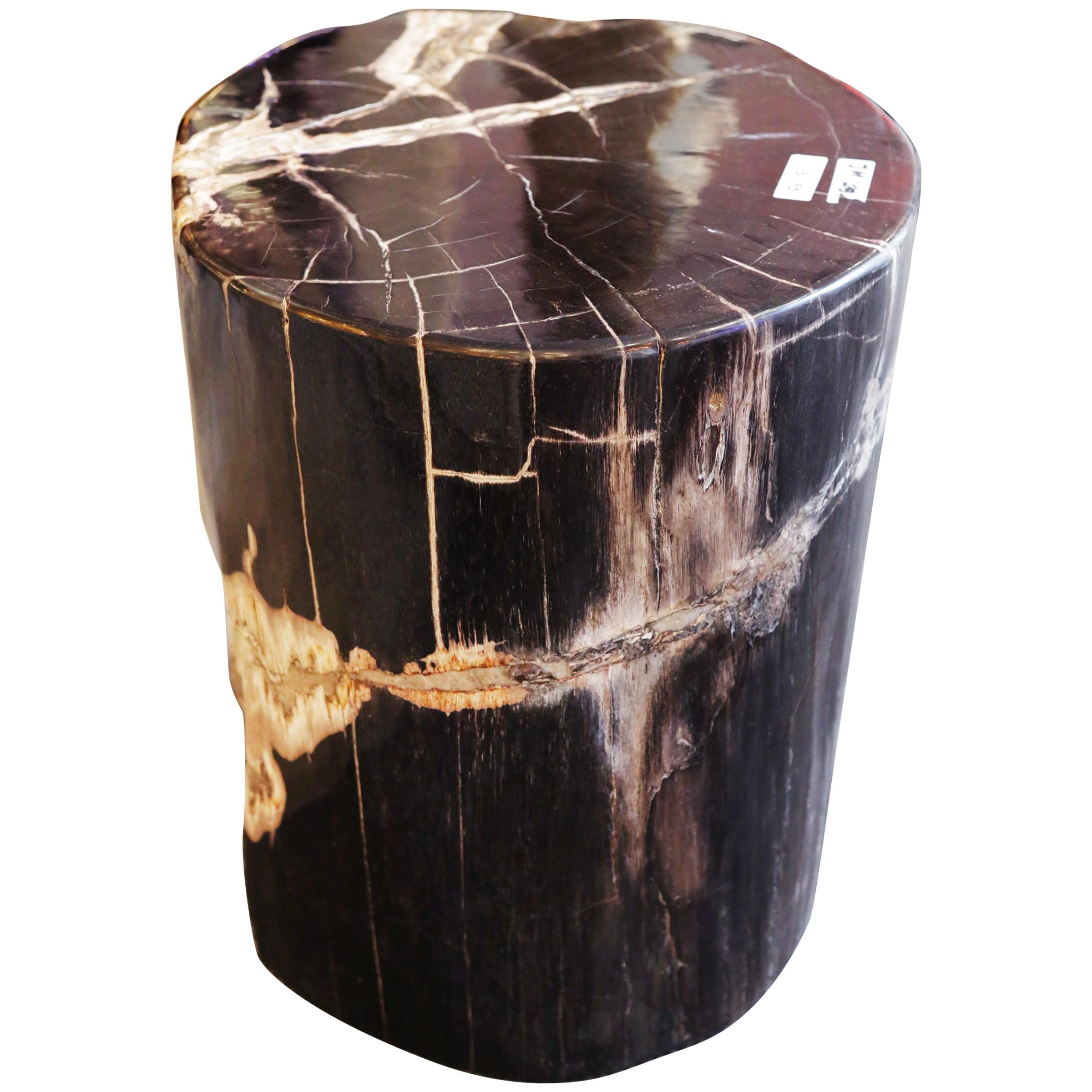 Petrified Wood n°D Side Table