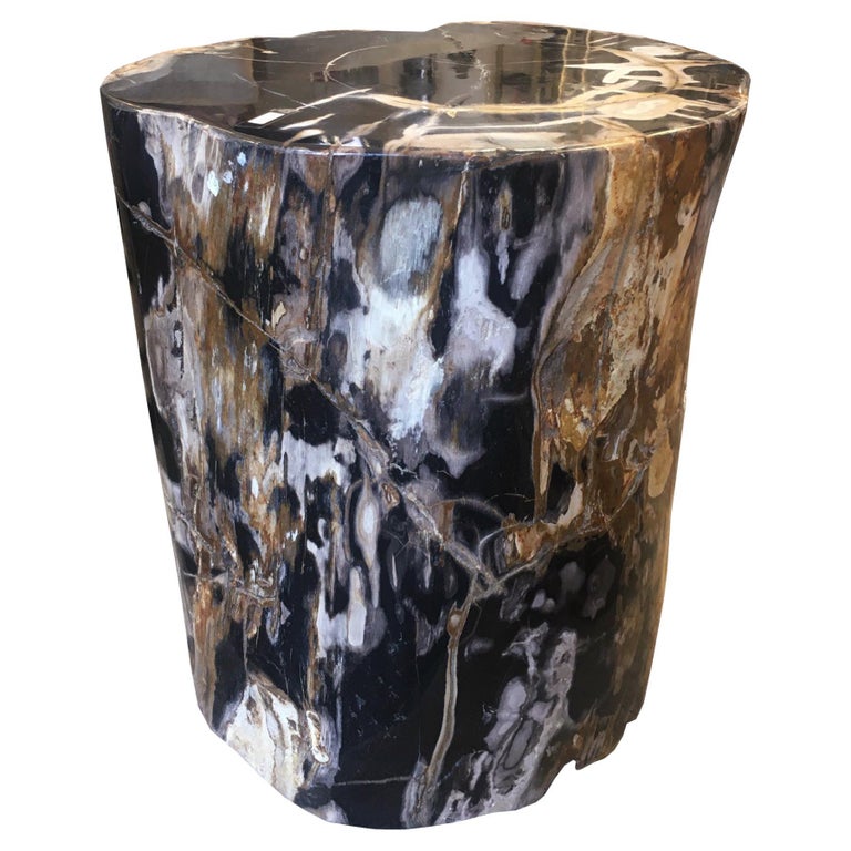 Petrified Wood n°D Side Table For Sale