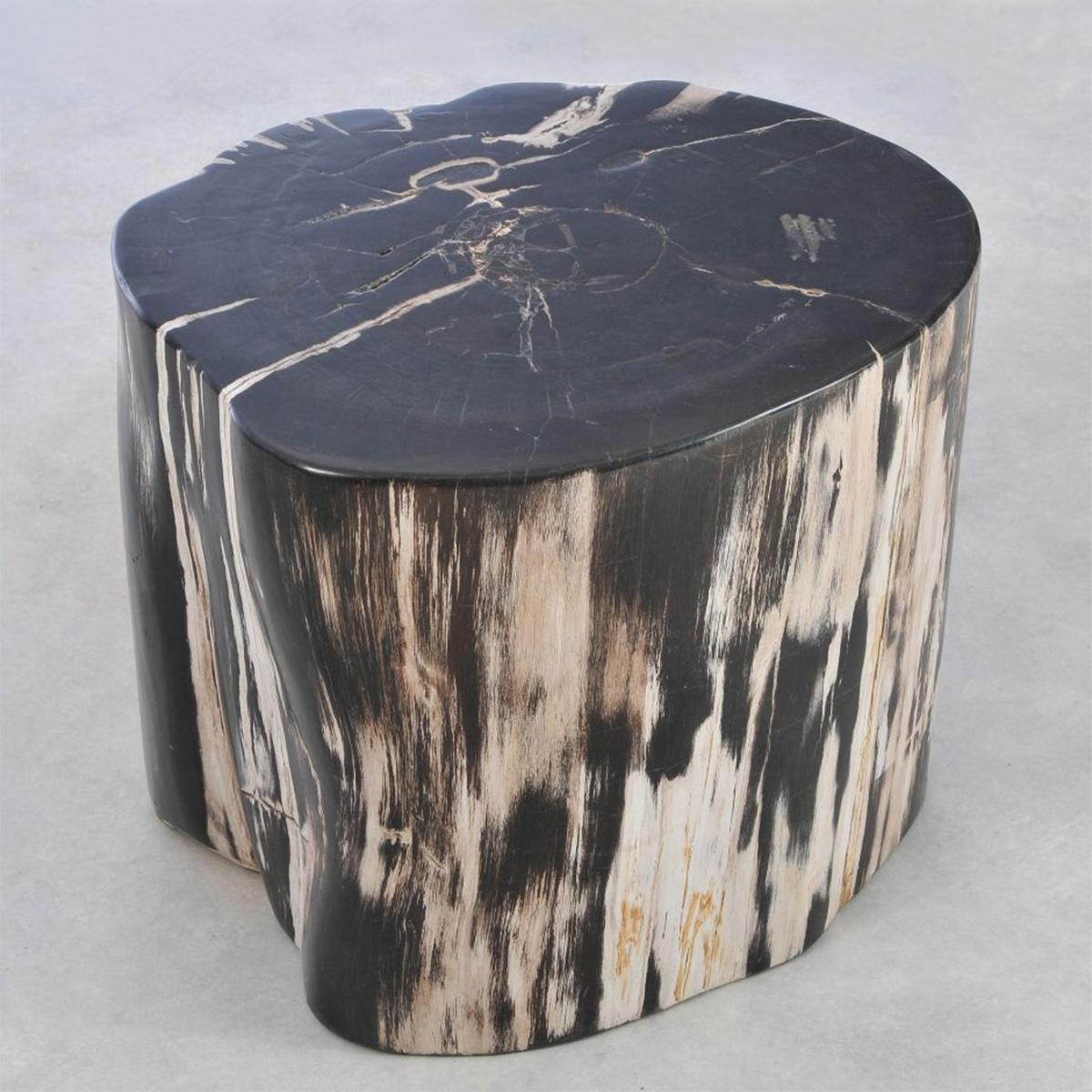 Side Table Petrified Wood N°E with all structure 
in carved and polished petrified wood.