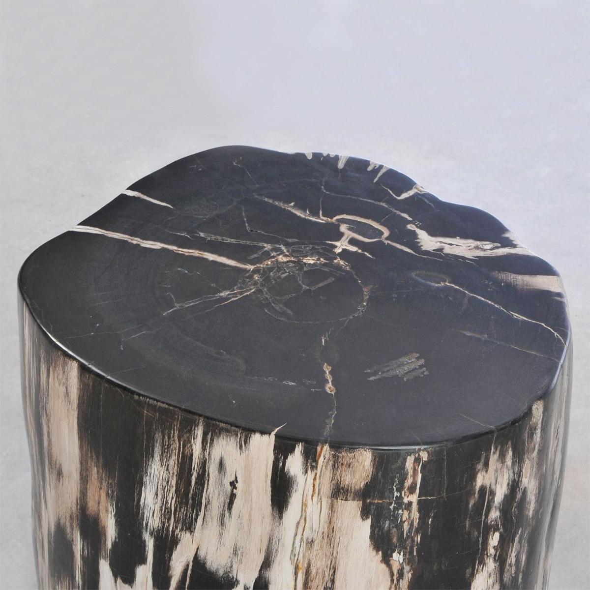 Hand-Crafted Petrified Wood N°E Side Table