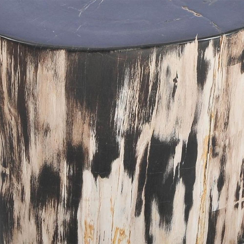 Contemporary Petrified Wood N°E Side Table