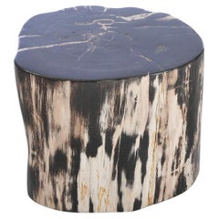 Petrified Wood N°E Side Table
