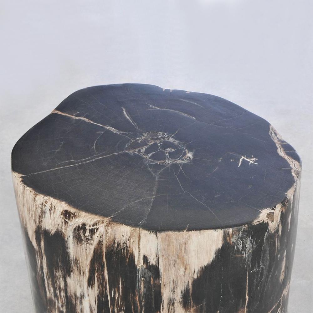 petrified wood stool