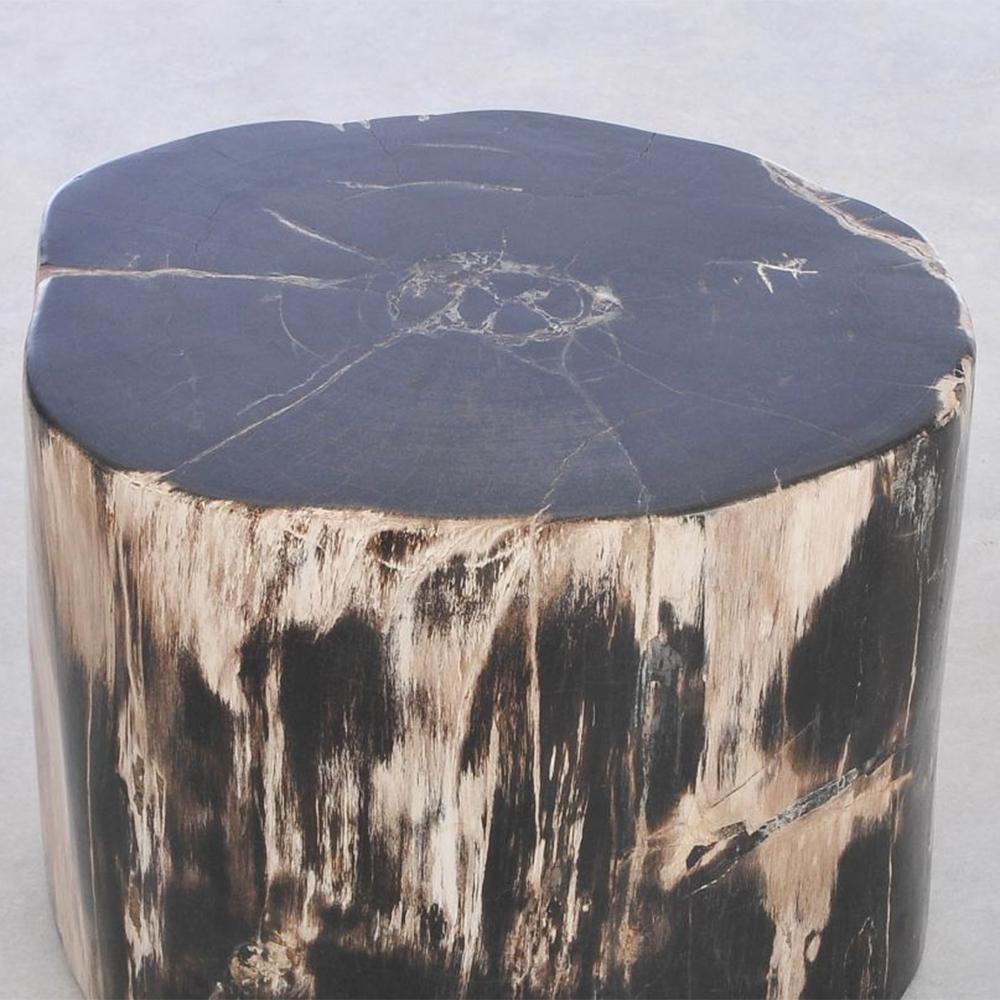 Petrified Wood N°F Side Table In New Condition In Paris, FR