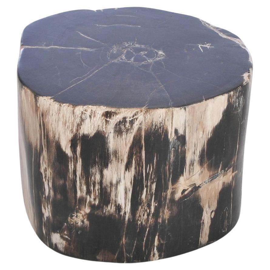 Petrified Wood N°F Side Table