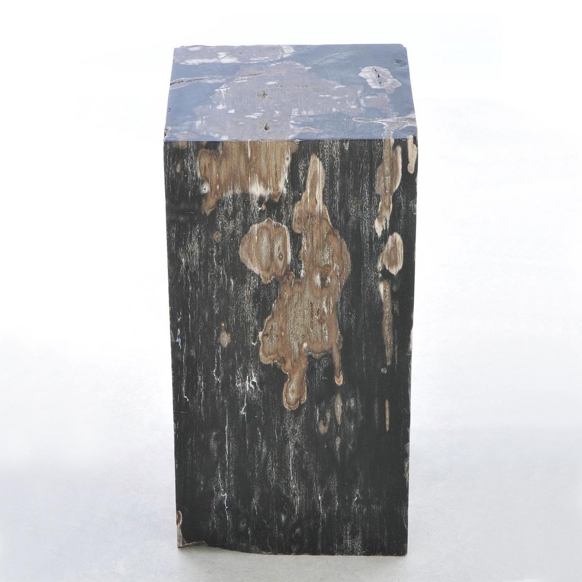 Side Table Petrified Wood N°G with all structure 
in carved and polished petrified wood.