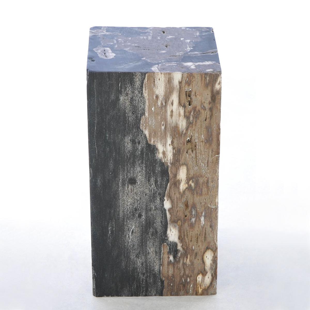 Indonesian Petrified Wood N°G Side Table  For Sale