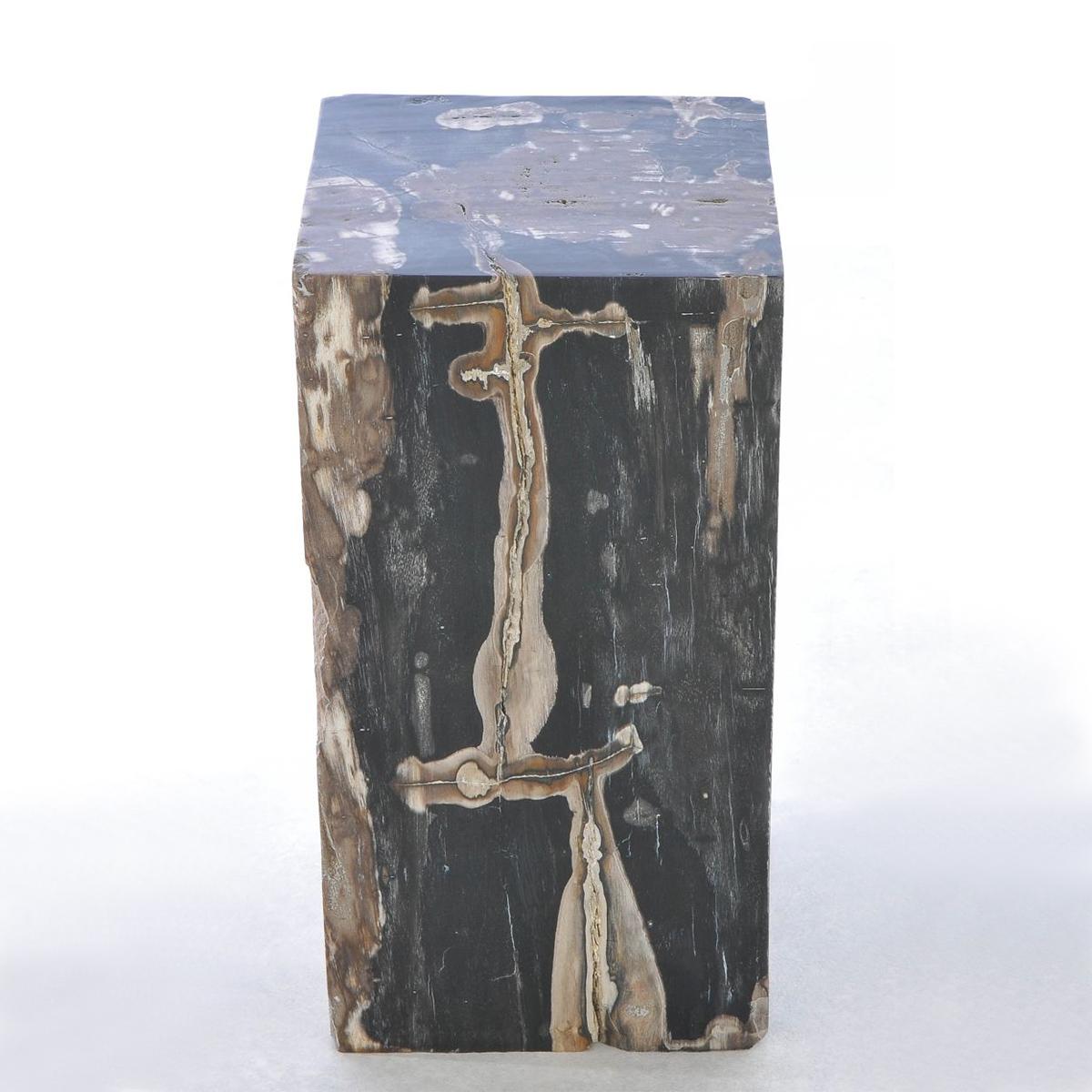 Hand-Crafted Petrified Wood N°G Side Table  For Sale