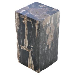 Petrified Wood N°G Side Table 