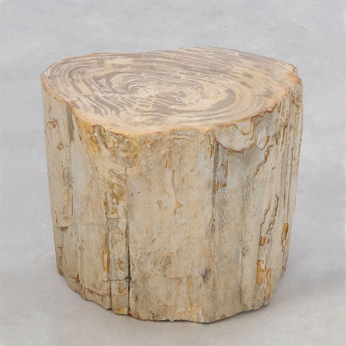 Side Table Petrified Wood n°H with all structure 
in carved and polished petrified wood.