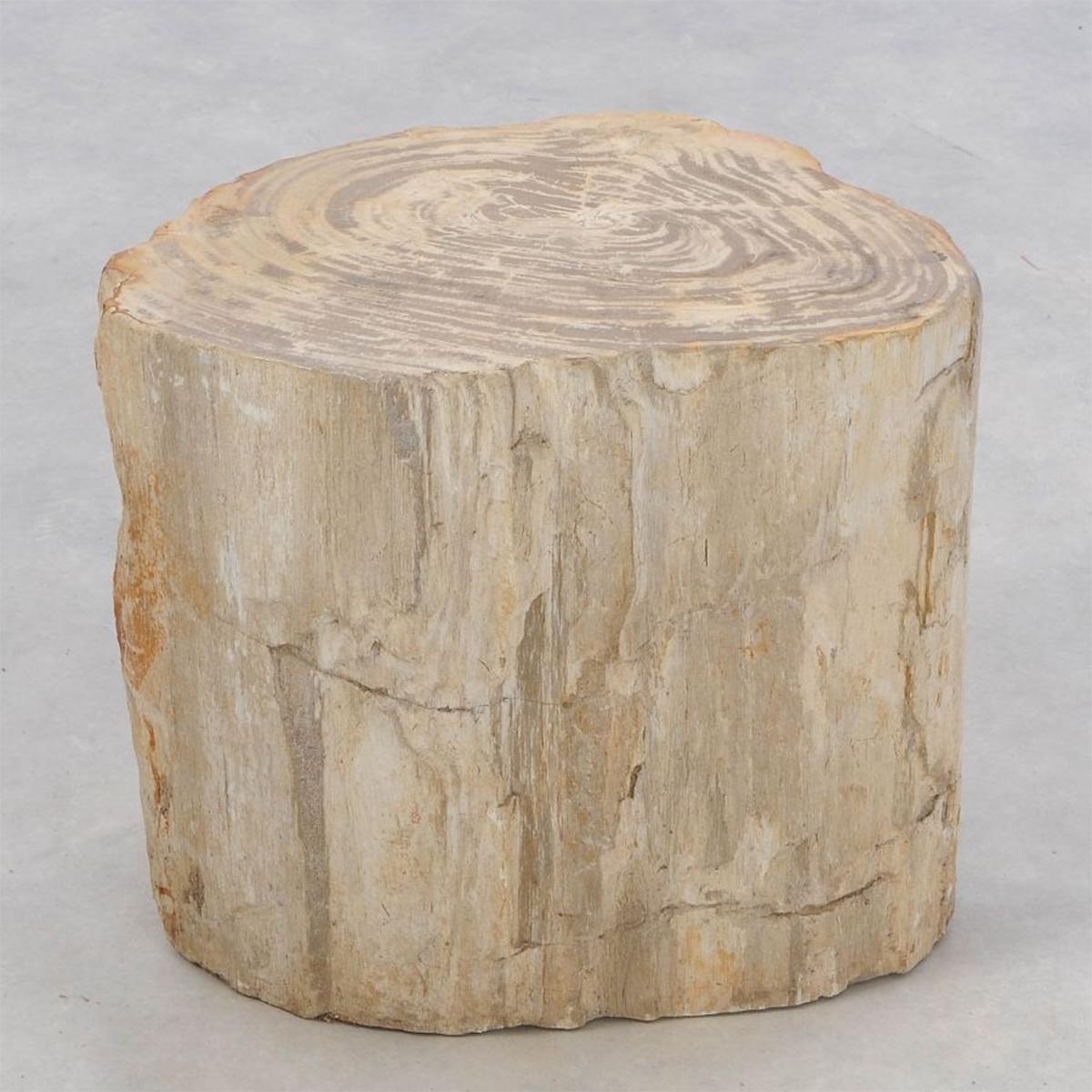 Indonesian Petrified Wood n°H Side Table