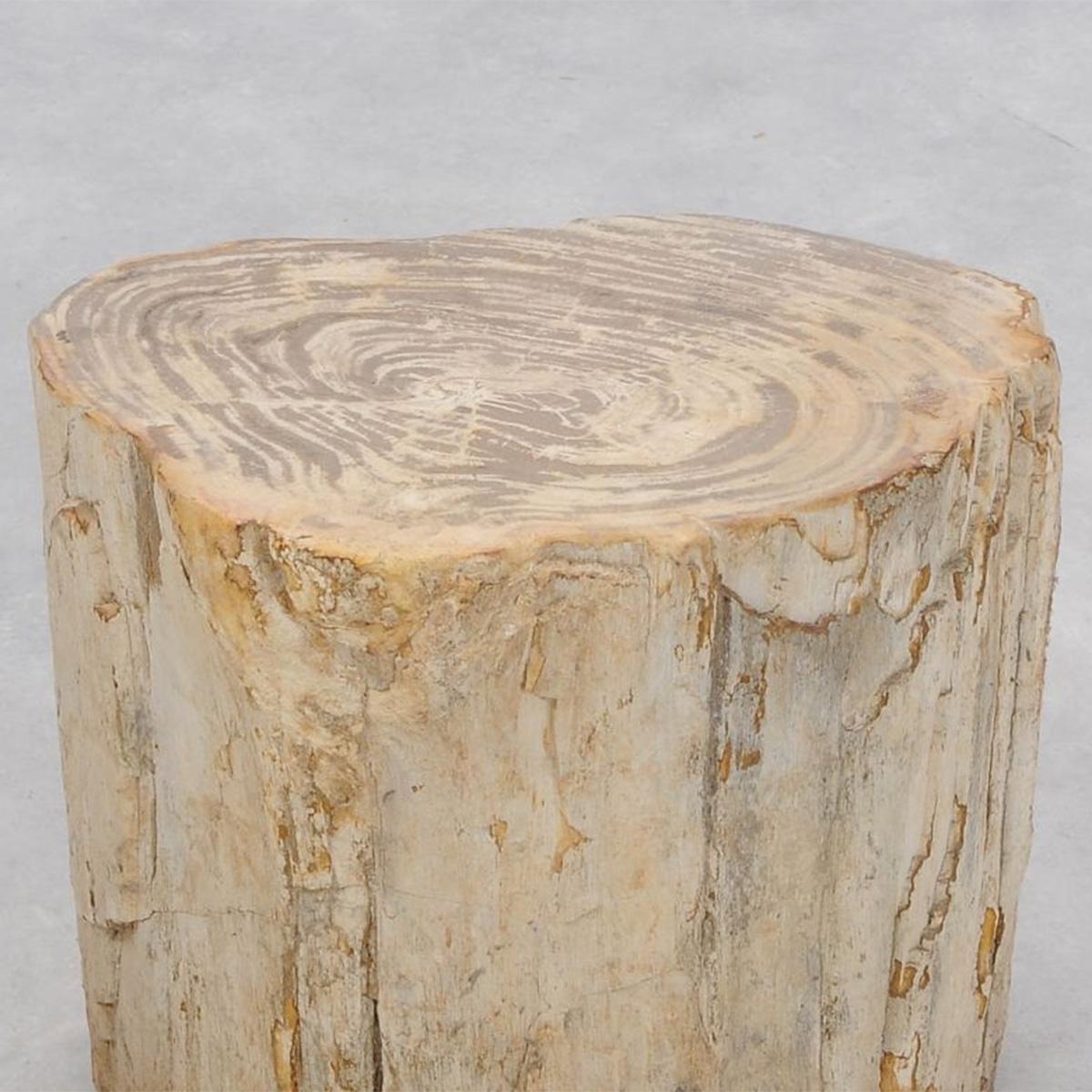 Hand-Crafted Petrified Wood n°H Side Table