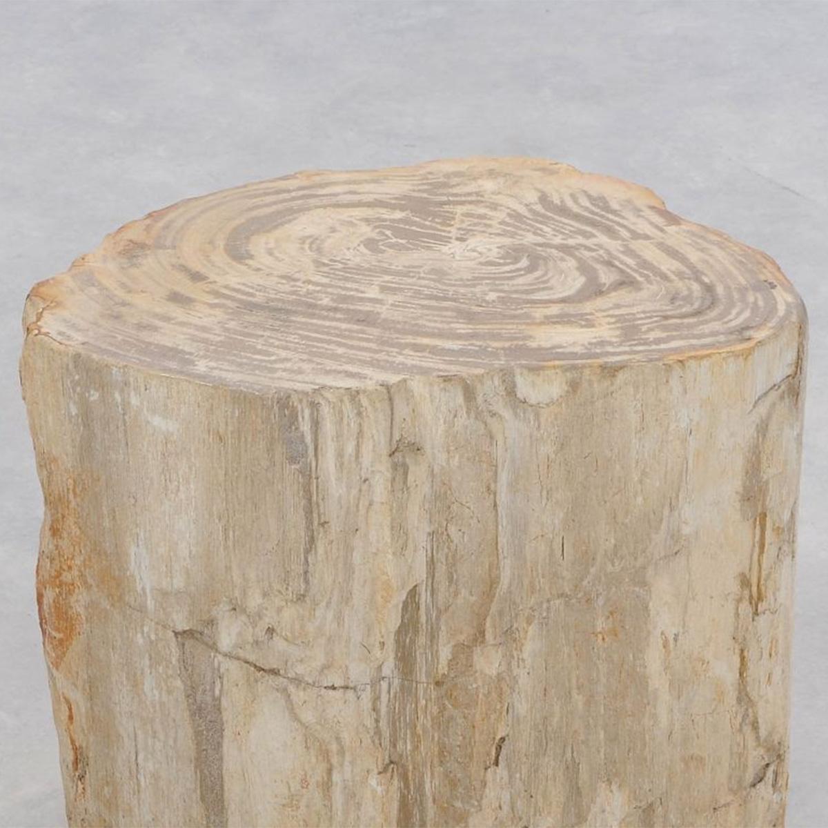 Petrified Wood n°H Side Table In New Condition In Paris, FR