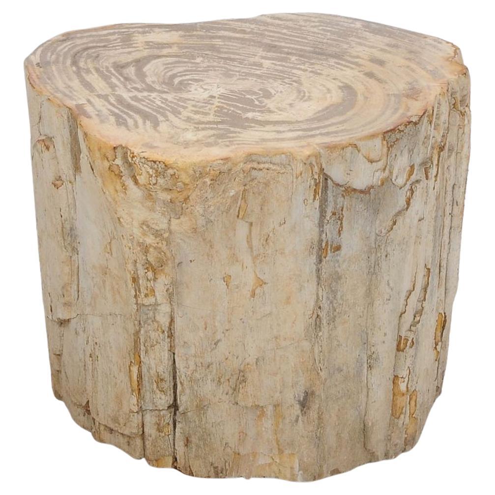 Petrified Wood n°H Side Table