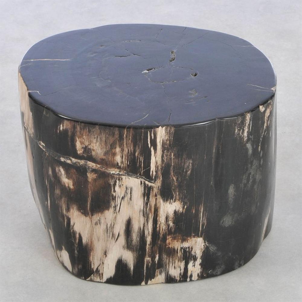 Side Table Petrified Wood N°I with all structure 
in carved and polished petrified wood.