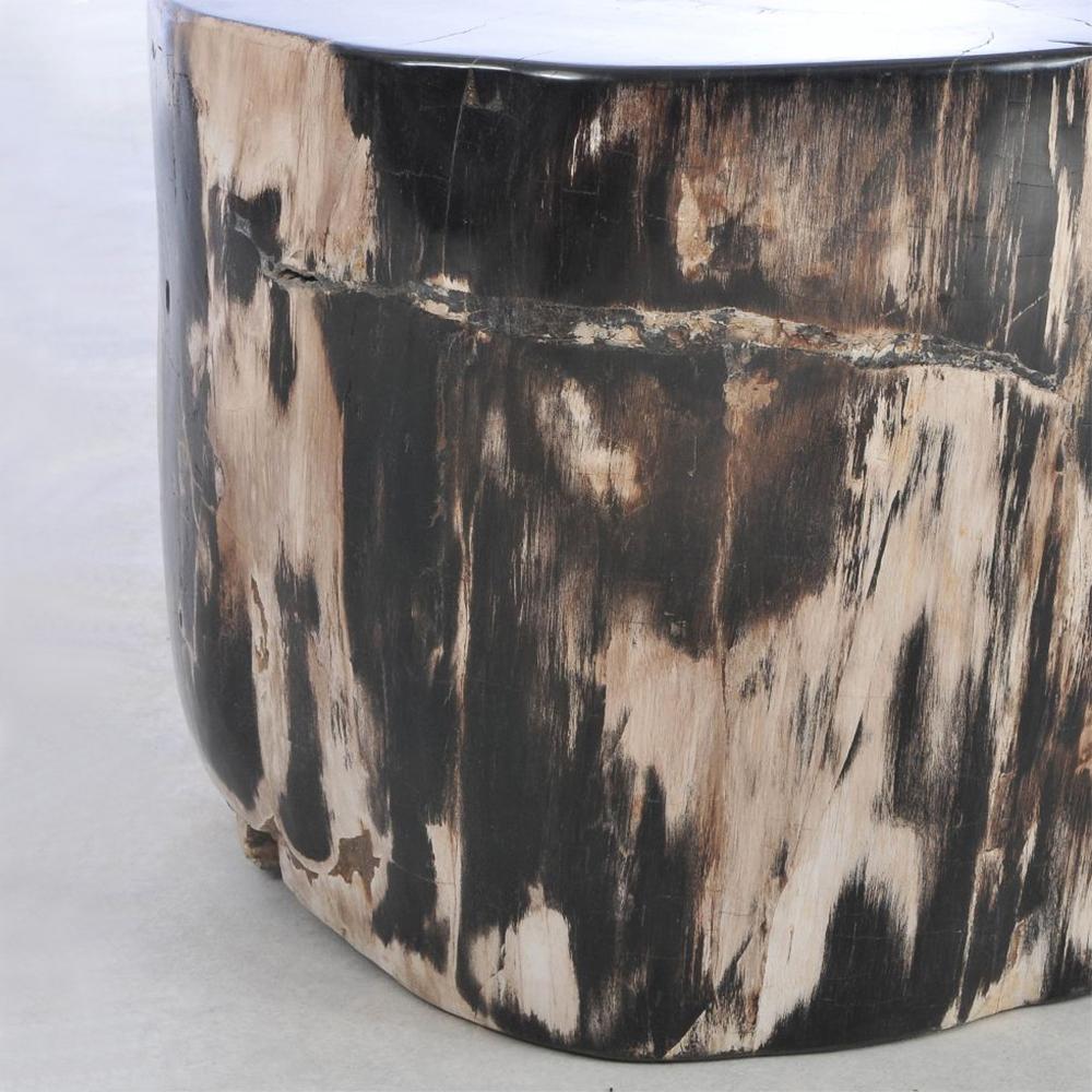 Indonesian Petrified Wood N°I Side Table For Sale