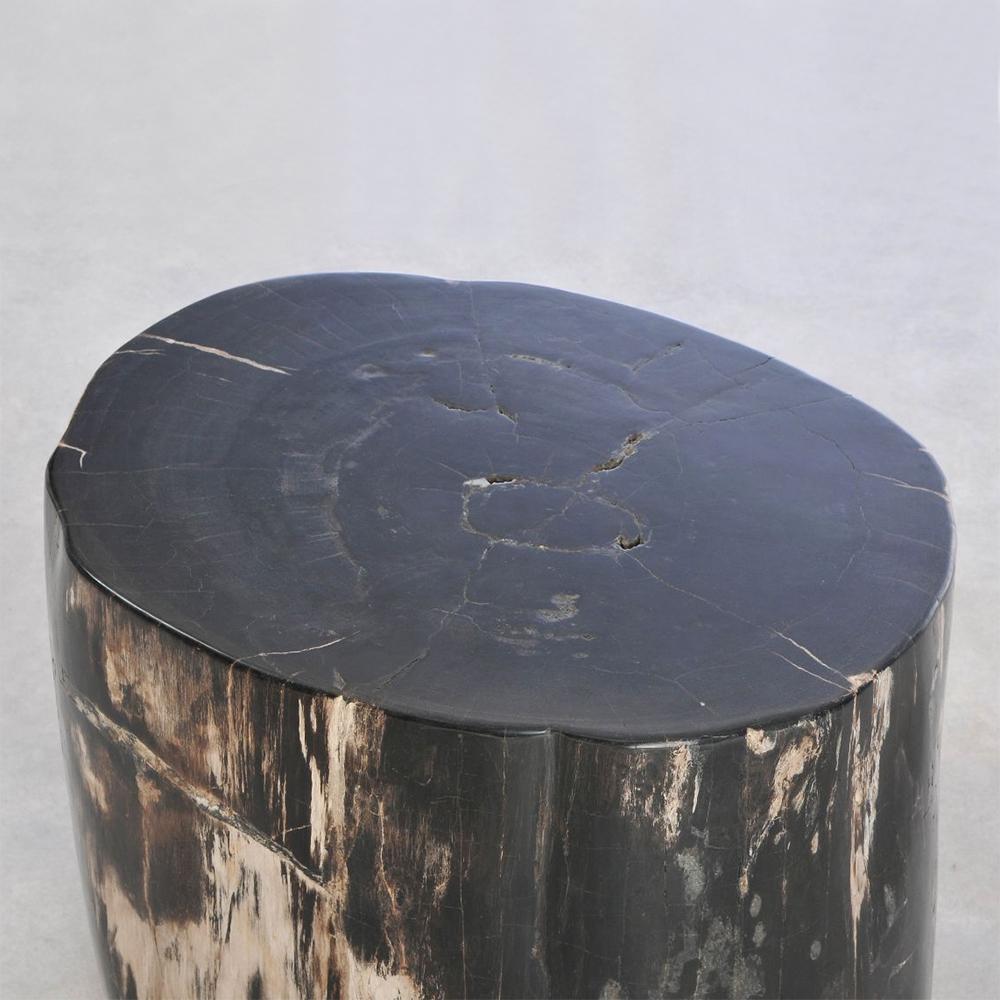 Hand-Crafted Petrified Wood N°I Side Table For Sale