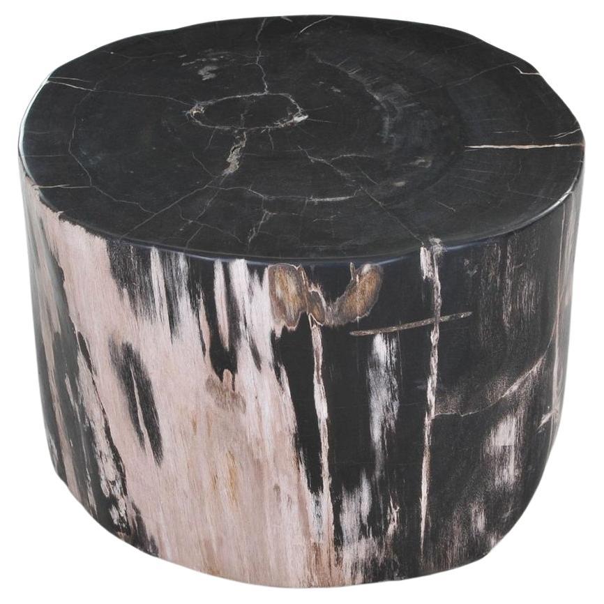 Petrified Wood N°I Side Table For Sale