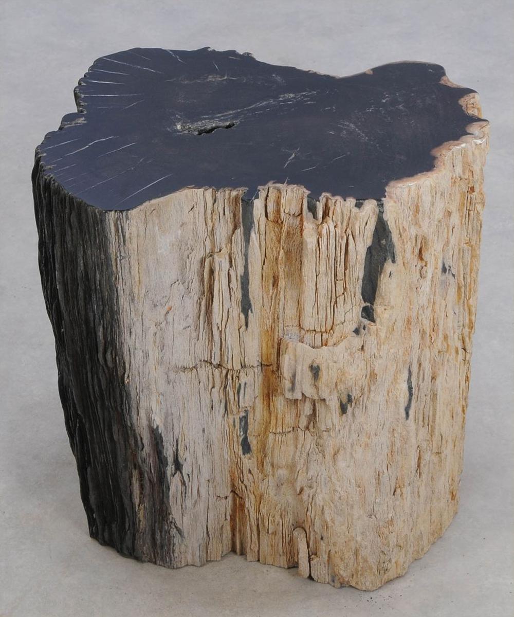 Side Table Petrified Wood N°J with all structure 
in carved petrified wood with raw sides and with
polished petrified wood top.