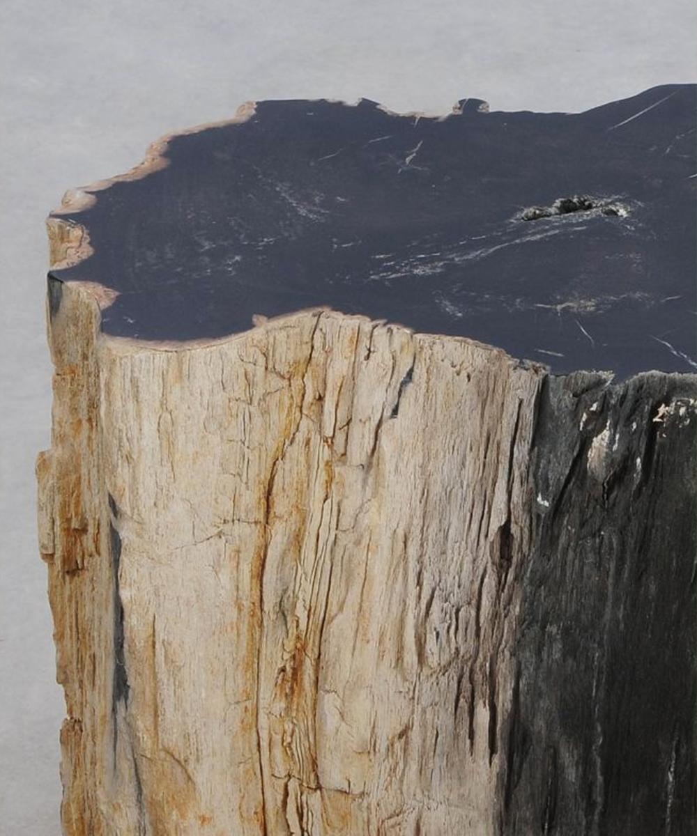 Indonesian Petrified Wood N°J Side Table For Sale