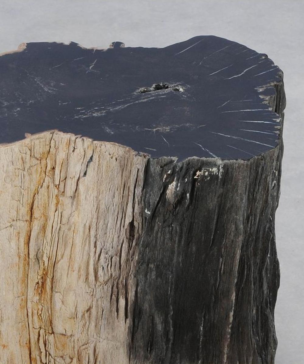 Hand-Crafted Petrified Wood N°J Side Table For Sale