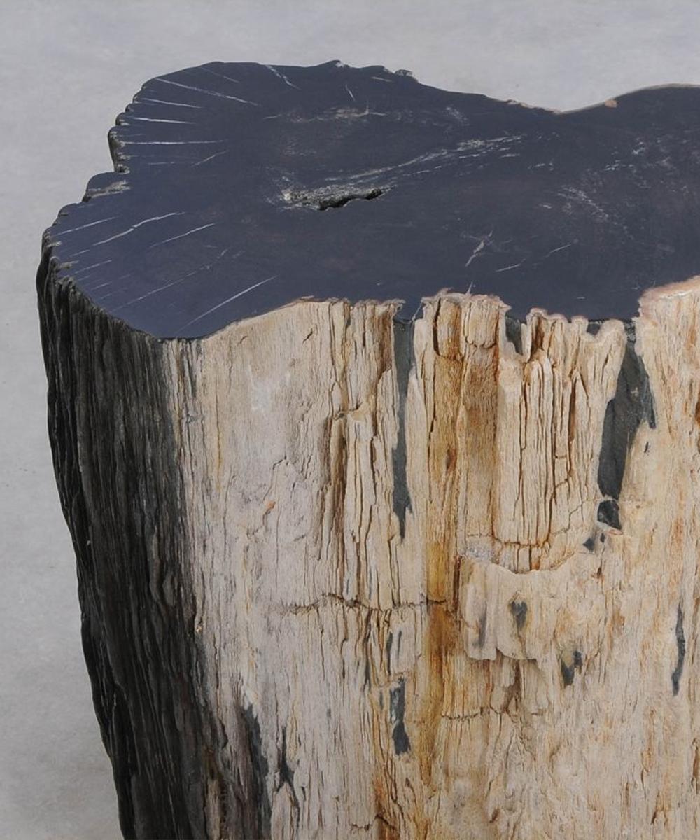 Petrified Wood N°J Side Table In New Condition For Sale In Paris, FR