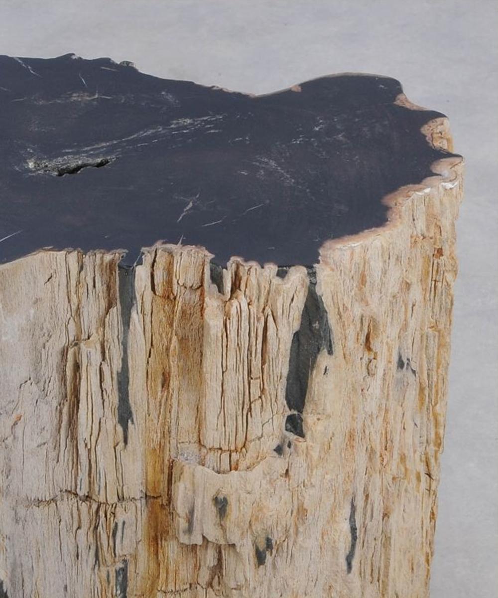 Contemporary Petrified Wood N°J Side Table For Sale