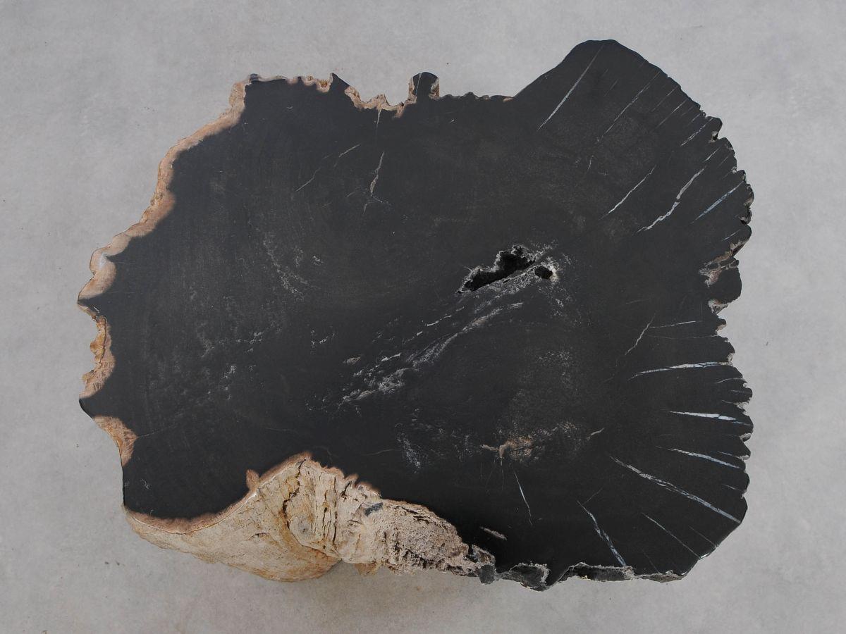 Petrified Wood N°J Side Table 2