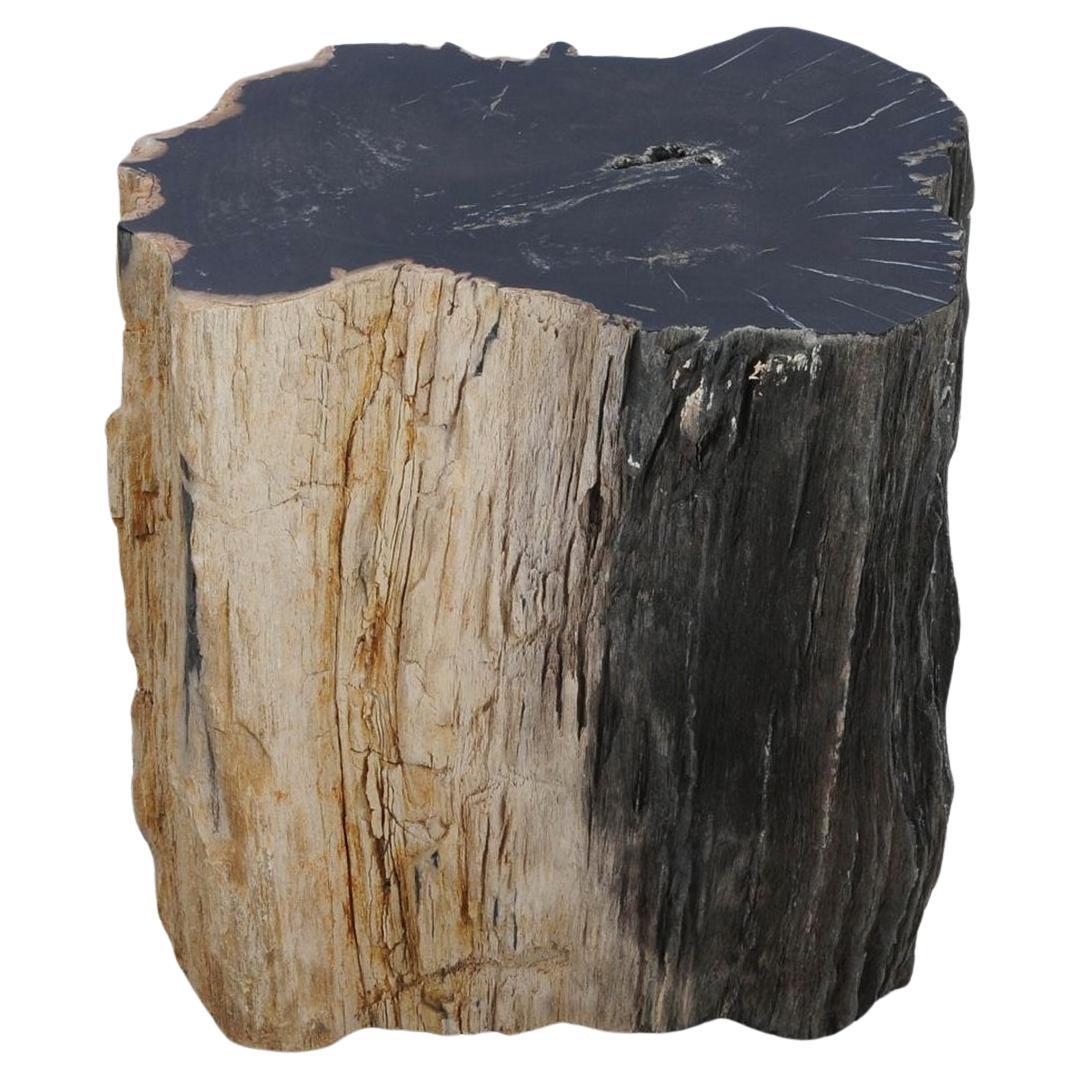 Petrified Wood N°J Side Table For Sale