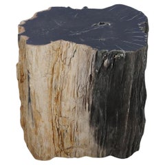 Petrified Wood N°J Side Table