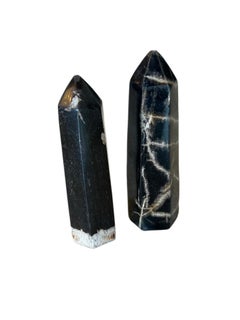 Petrified Wood Obelisks Set of 2