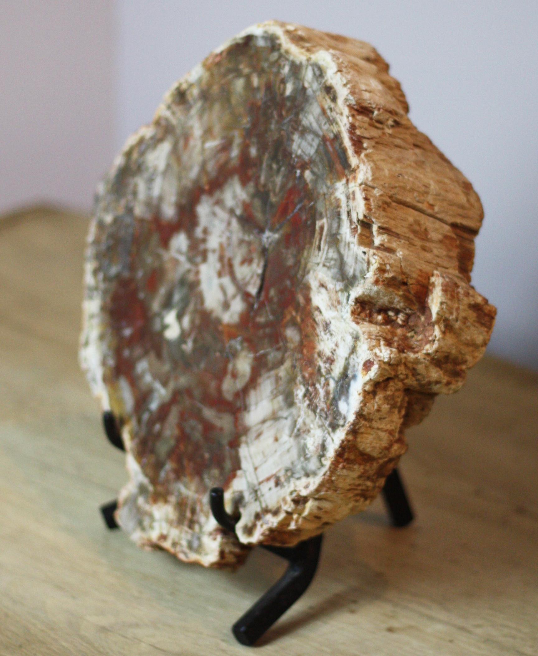 Unknown Petrified Wood on Iron Stand For Sale