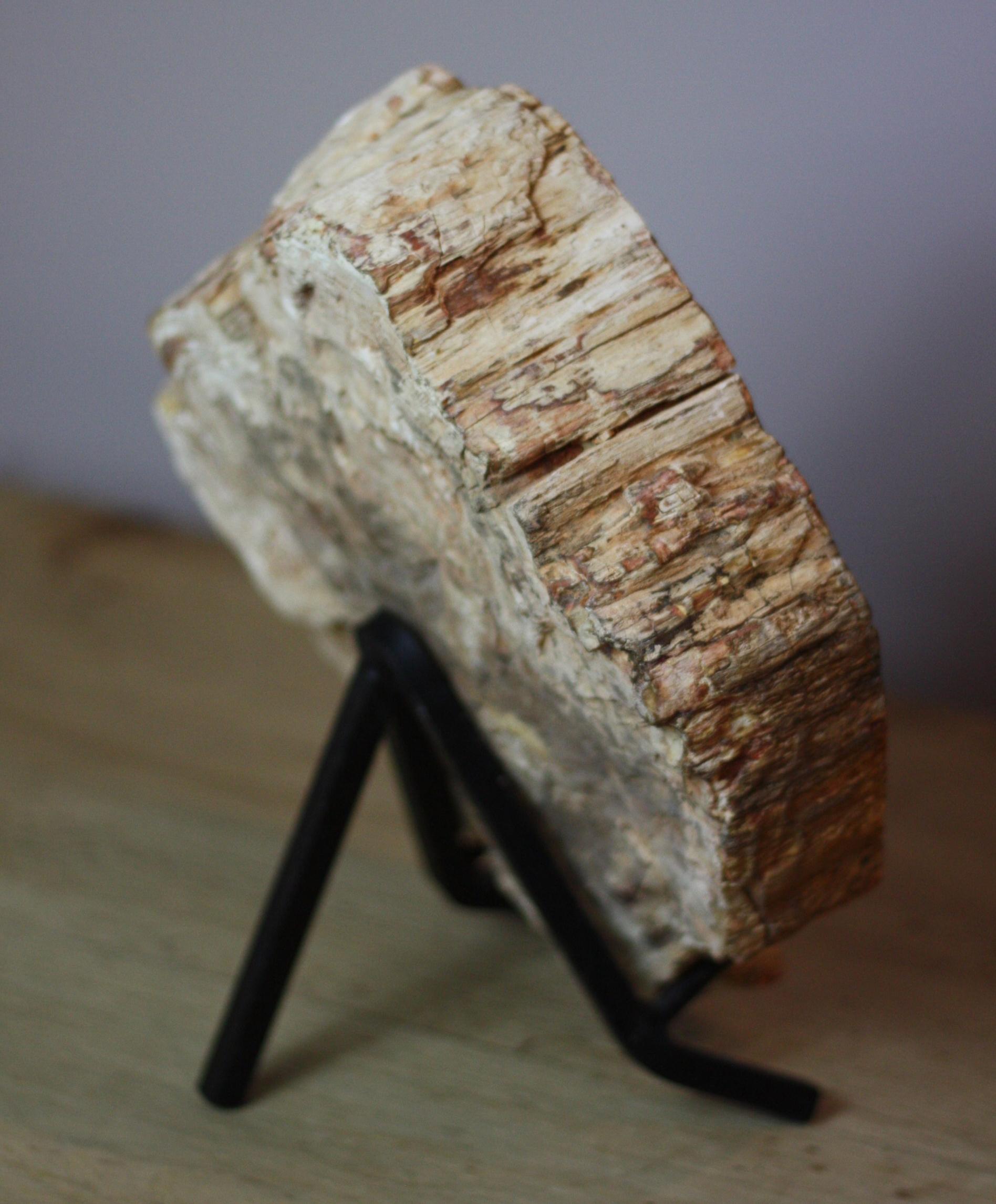 Petrified Wood on Iron Stand In Good Condition For Sale In Tetbury, Gloucestershire