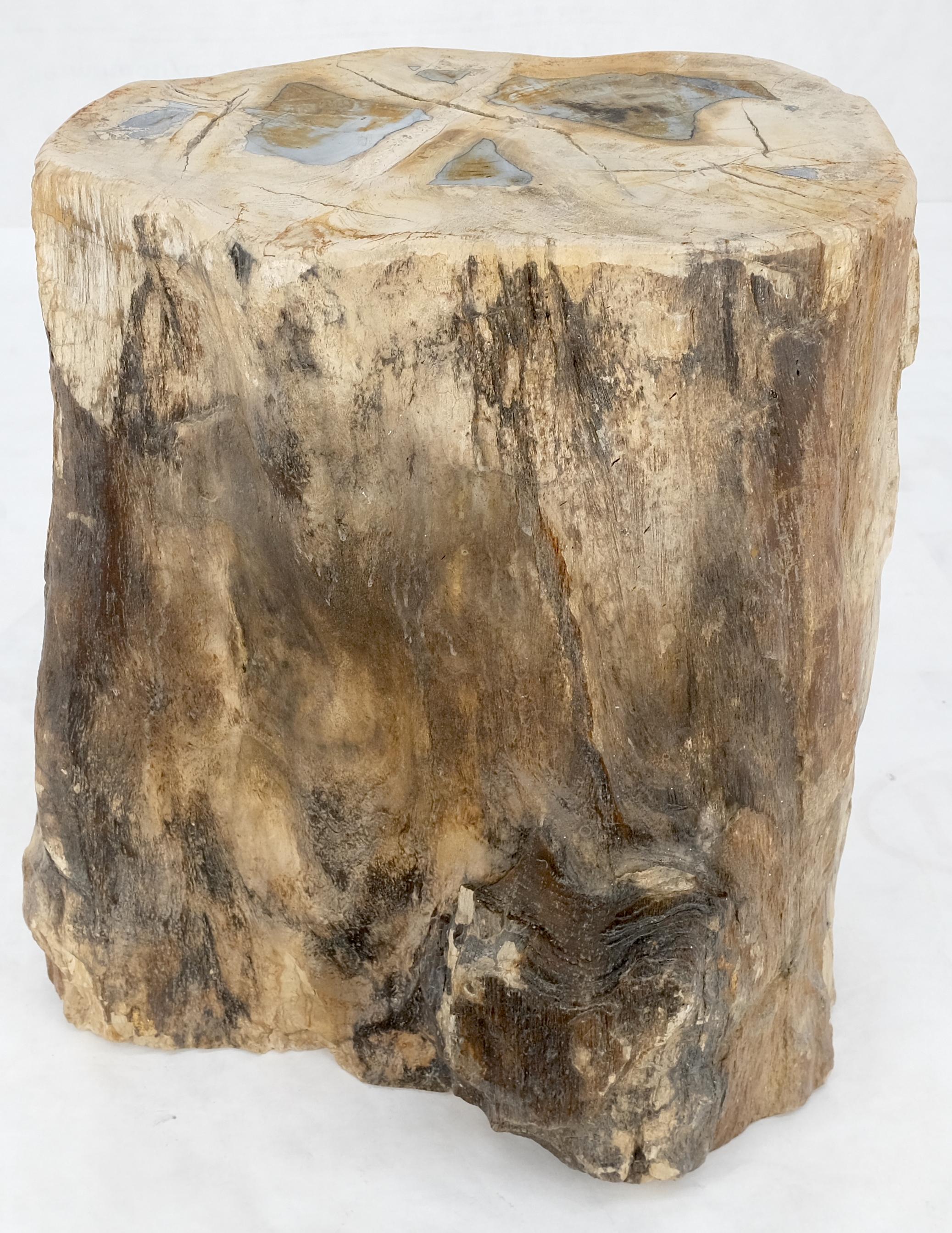 Asian Petrified Wood Organic Shape Multicolor Beige to Black Stand End Table Pedestal For Sale