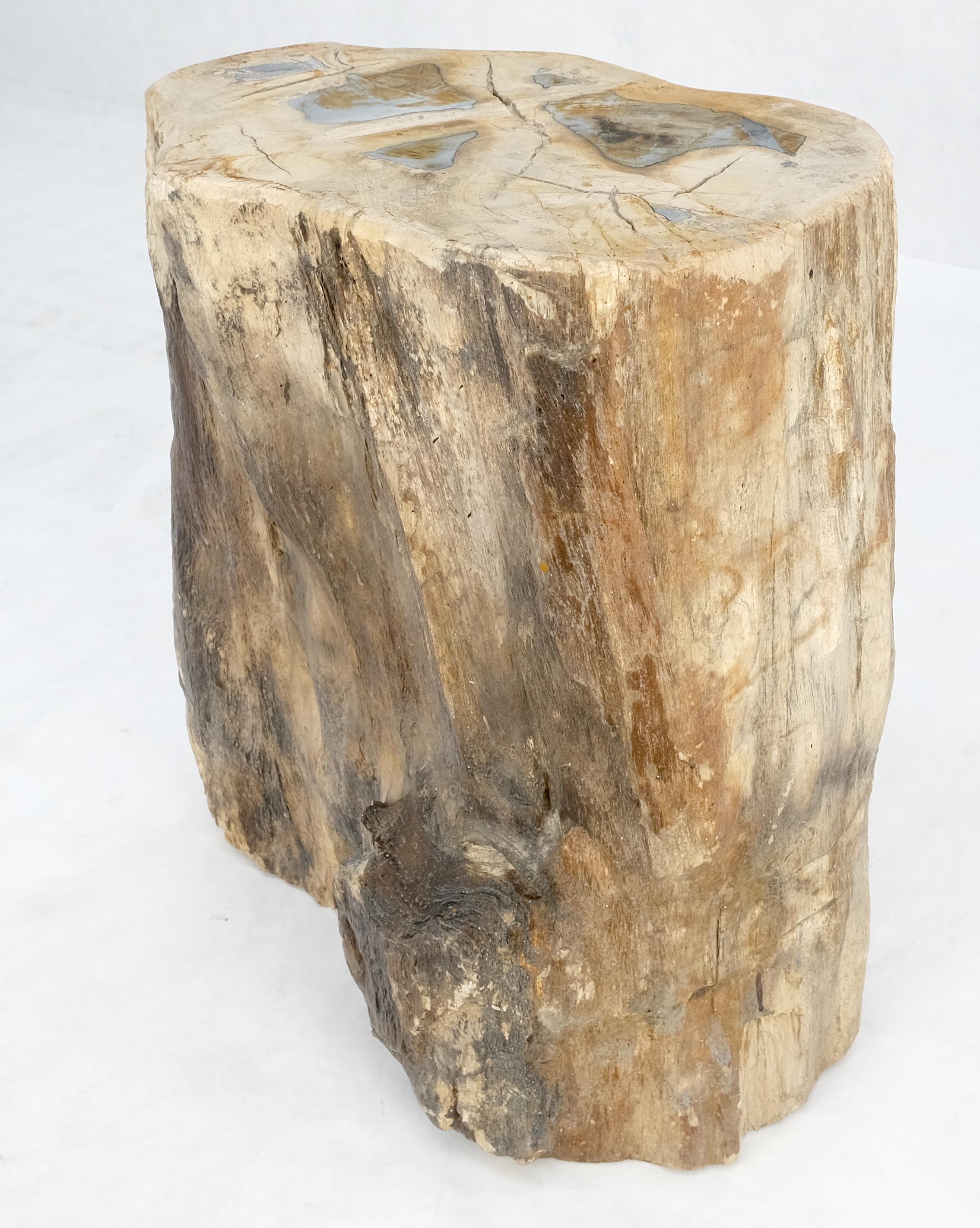 Petrified Wood Organic Shape Multicolor Beige to Black Stand End Table Pedestal In Excellent Condition For Sale In Rockaway, NJ