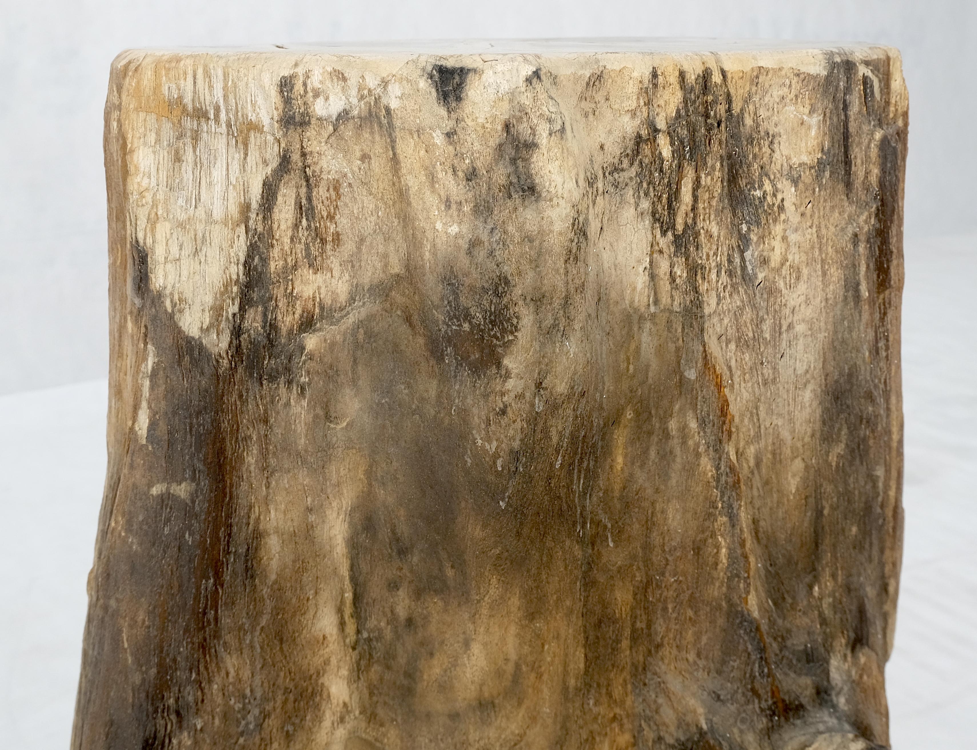 Versteinertes Holz Organische Form Multicolor Beige bis Schwarz Stand End Tisch Pedestal im Zustand „Hervorragend“ im Angebot in Rockaway, NJ