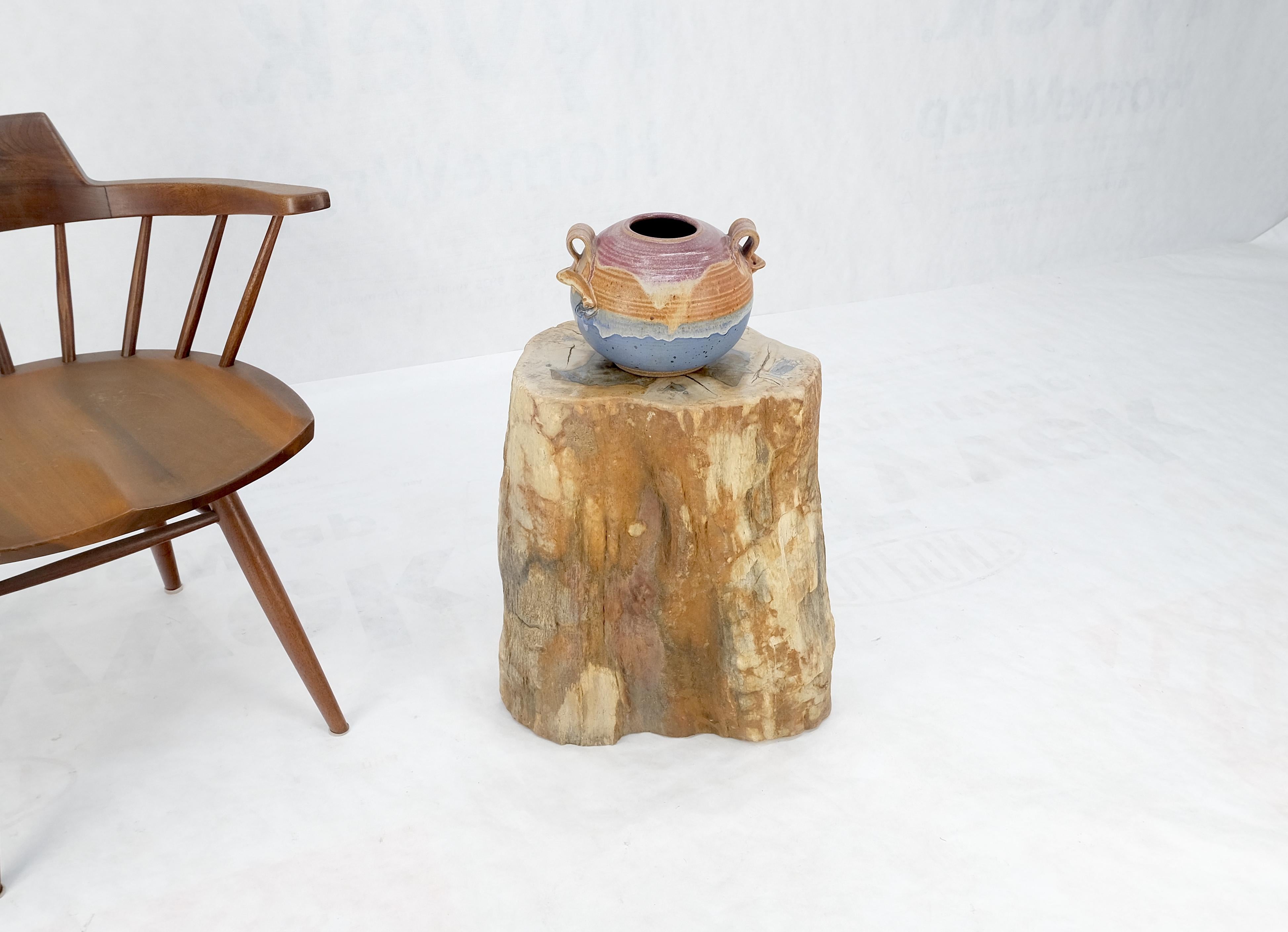 Versteinertes Holz Organische Form Multicolor Beige bis Schwarz Stand End Tisch Pedestal (21. Jahrhundert und zeitgenössisch) im Angebot