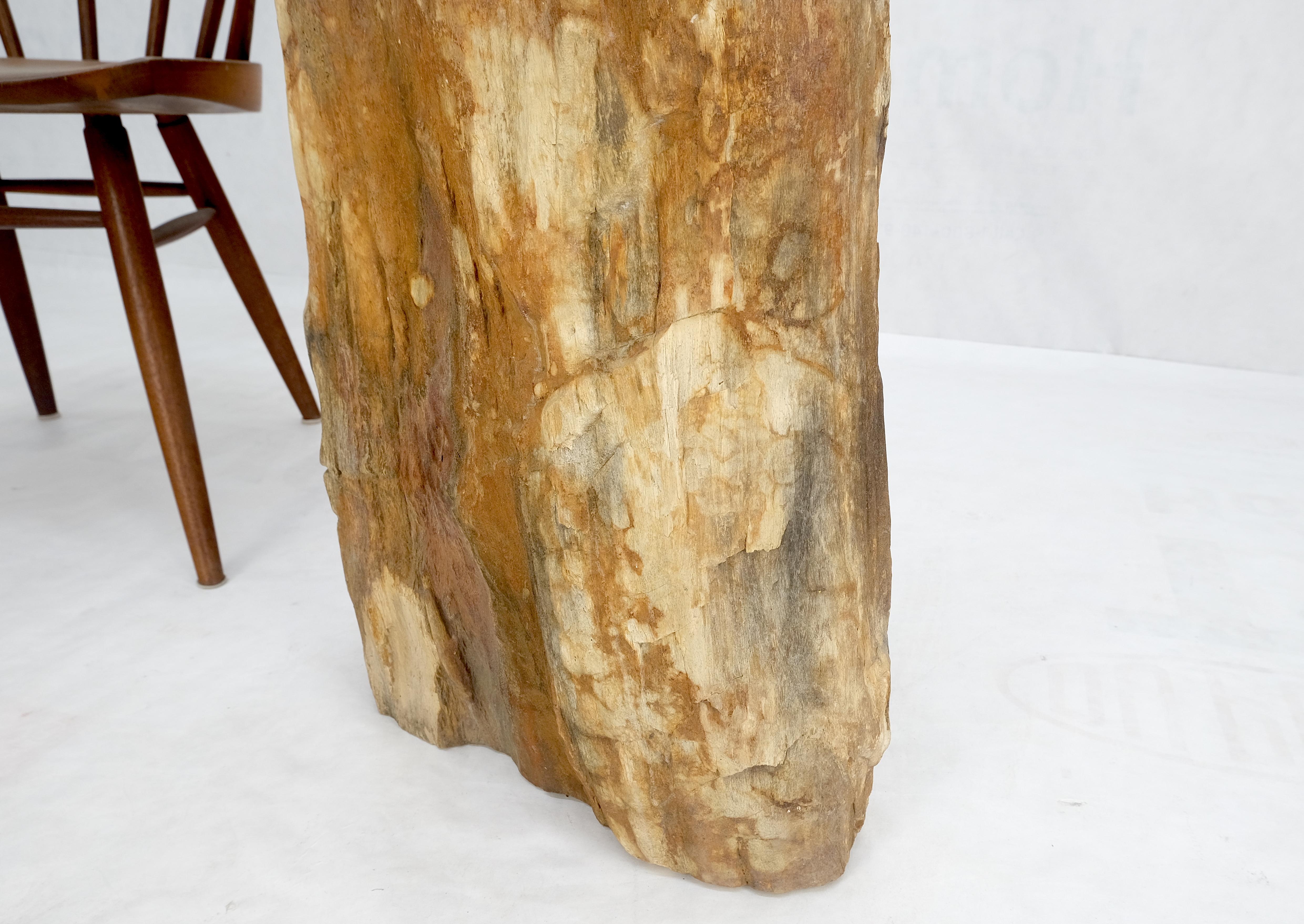 Petrified Wood Organic Shape Multicolor Beige to Black Stand End Table Pedestal For Sale 2