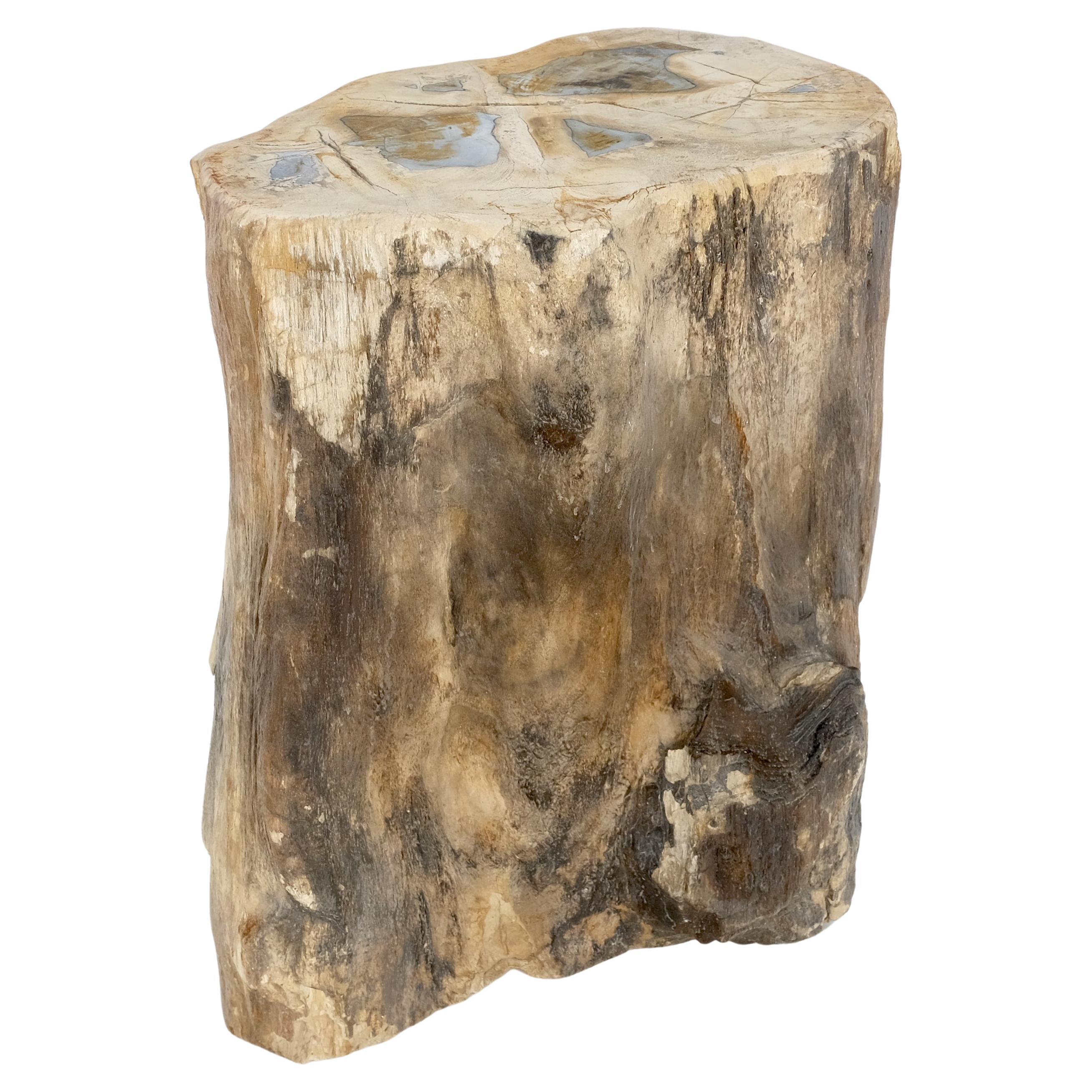 Petrified Wood Organic Shape Multicolor Beige to Black Stand End Table Pedestal For Sale