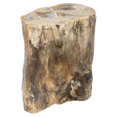 Wood Wood Organic Shape Multicolore Beige to Black Stand End Table Pedestal