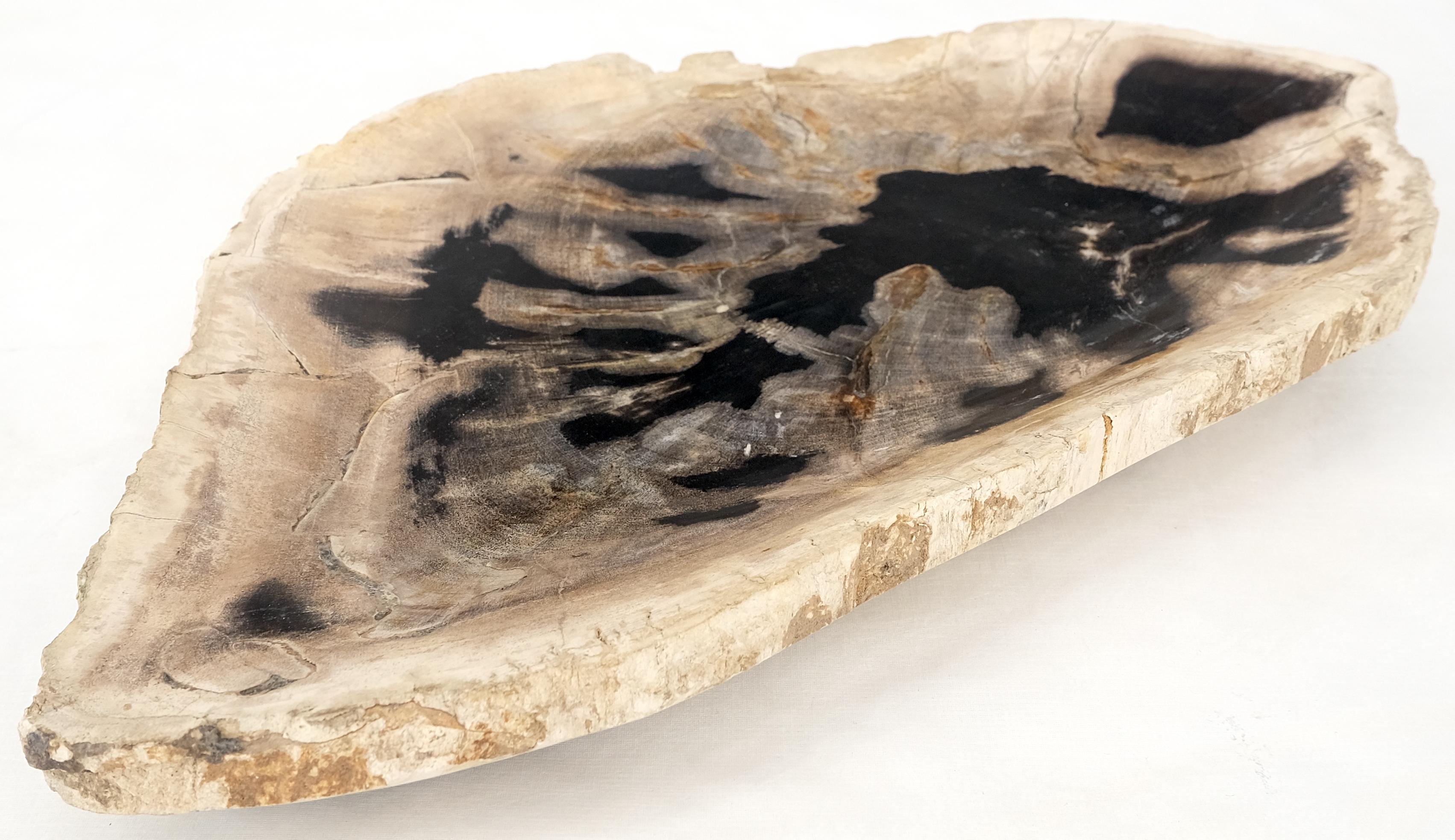 Mid-Century Modern Petrified Wood Oyster Shape Black & Tan Elongated Bowl Dish Large Plate Ashtray For Sale
