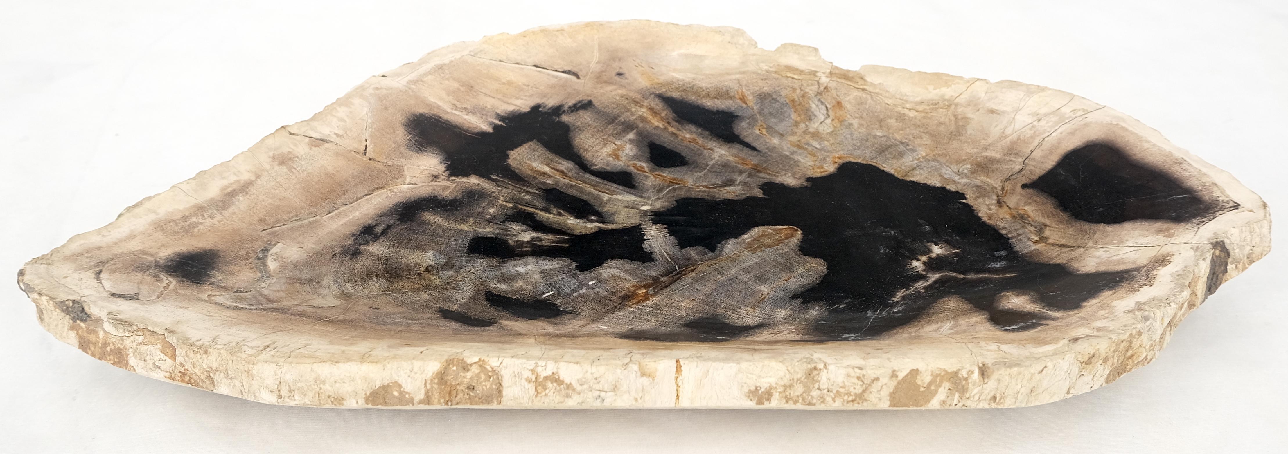 Indonesian Petrified Wood Oyster Shape Black & Tan Elongated Bowl Dish Large Plate Ashtray For Sale