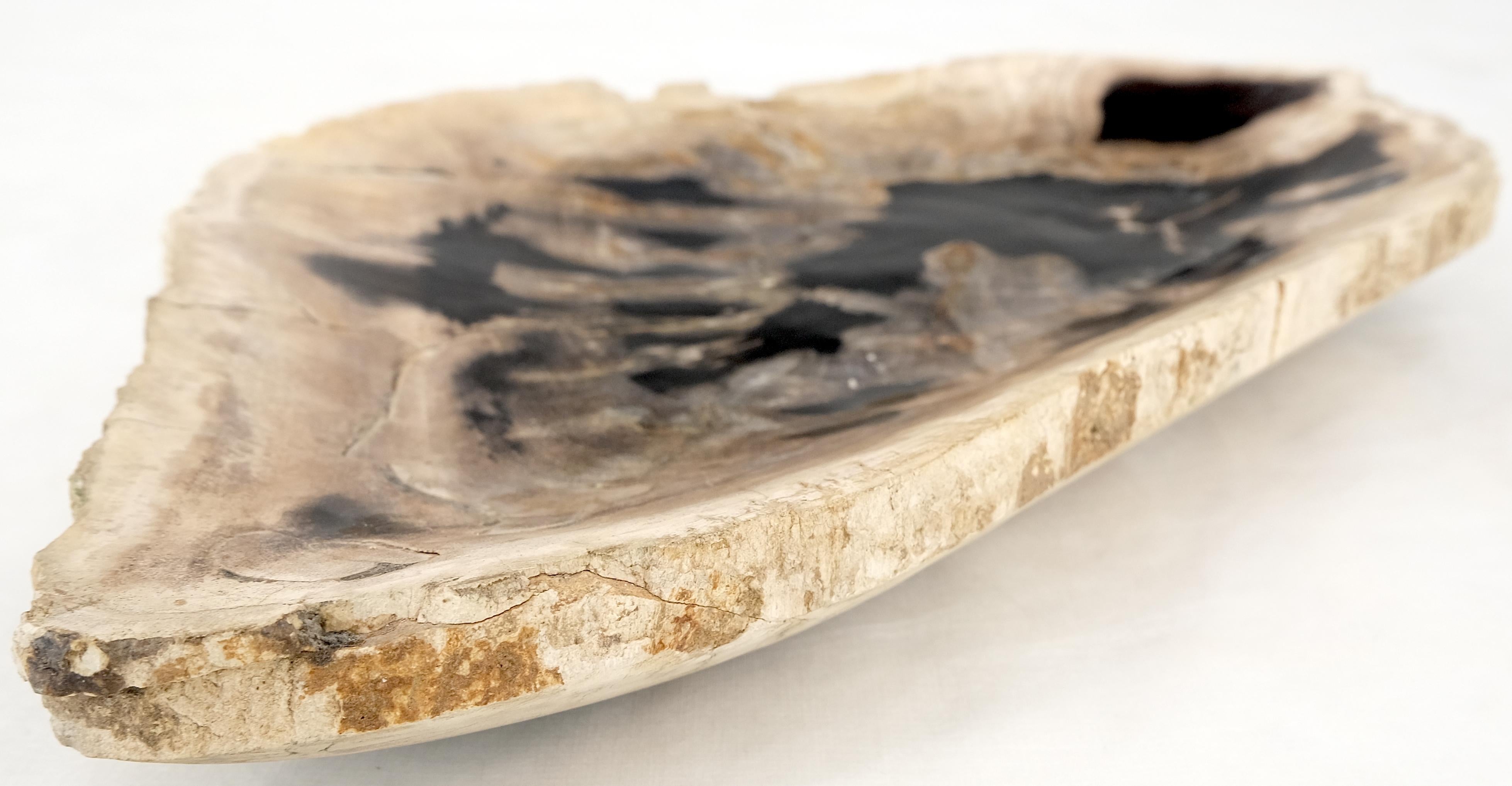 Carved Petrified Wood Oyster Shape Black & Tan Elongated Bowl Dish Large Plate Ashtray For Sale