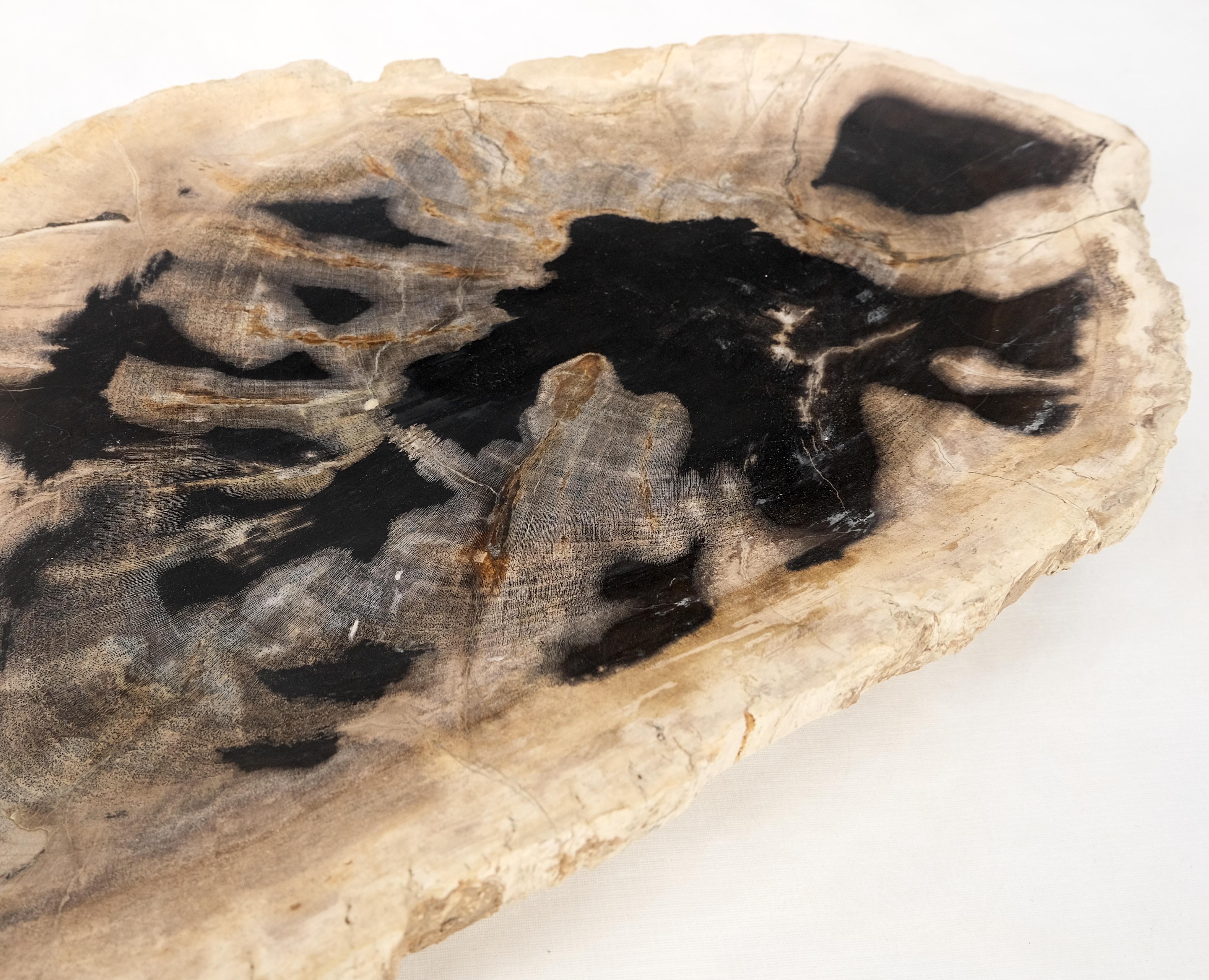 Petrified Wood Oyster Shape Black & Tan Elongated Bowl Dish Large Plate Ashtray In Distressed Condition For Sale In Rockaway, NJ