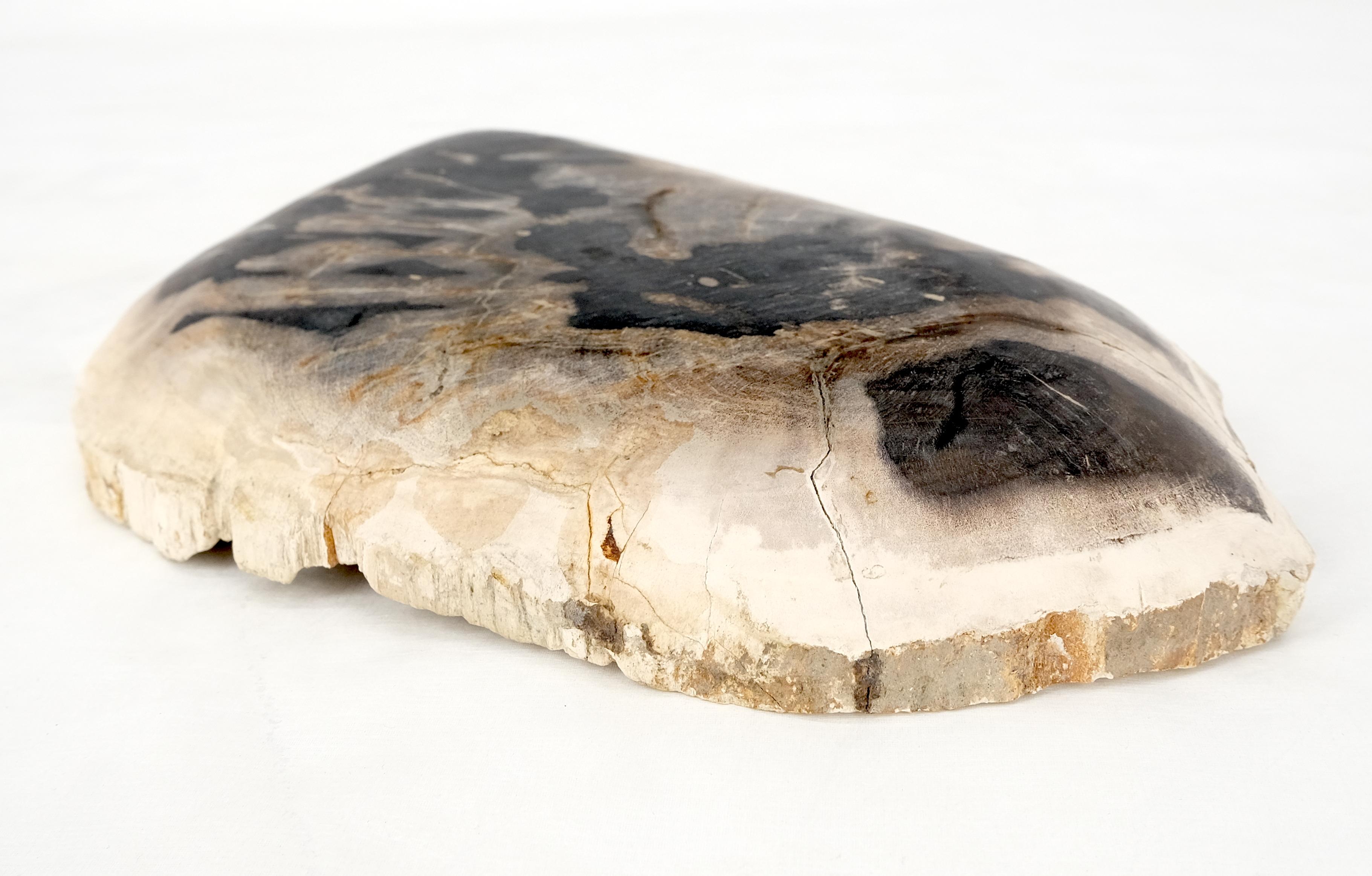 Contemporary Petrified Wood Oyster Shape Black & Tan Elongated Bowl Dish Large Plate Ashtray For Sale
