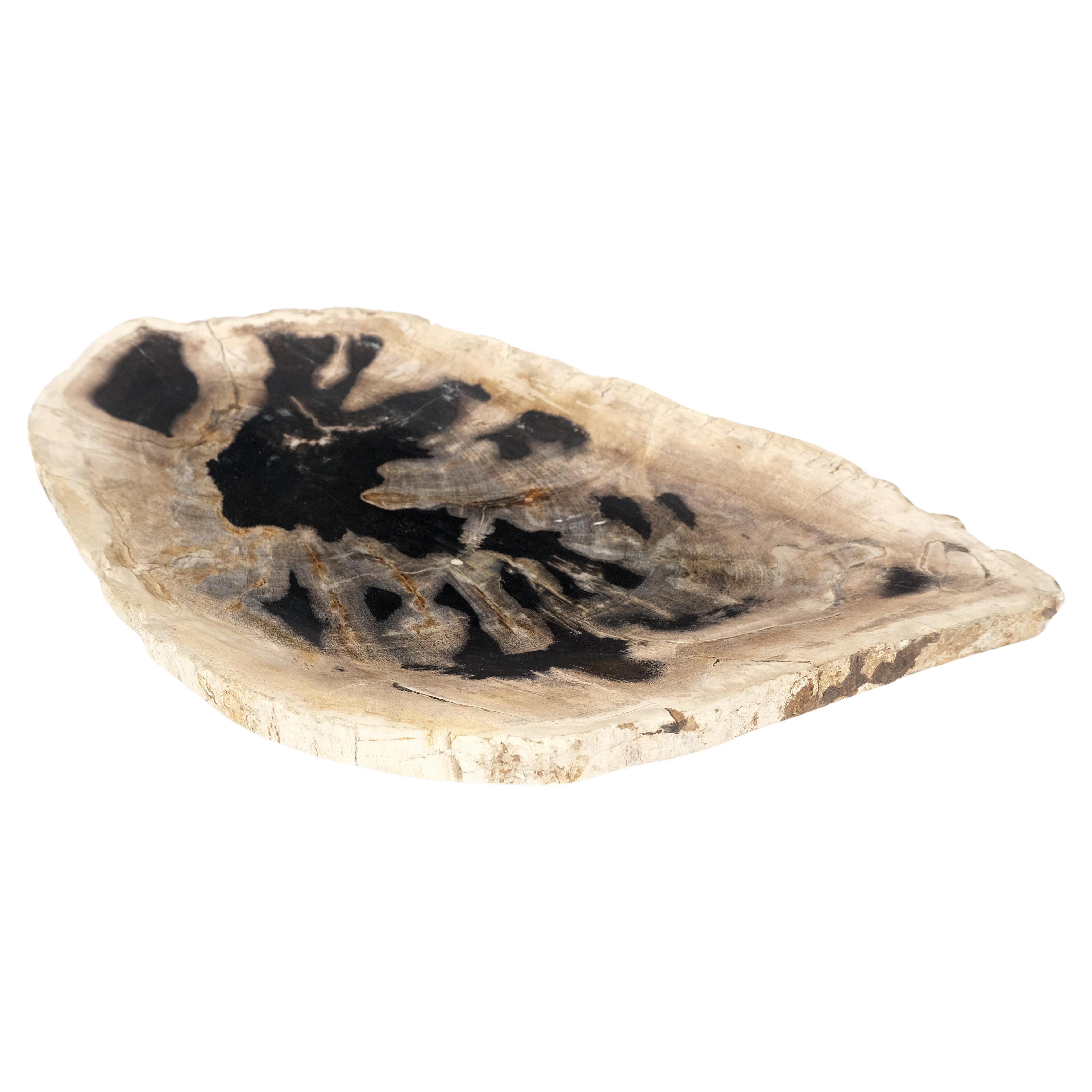 Petrified Wood Oyster Shape Black & Tan Elongated Bowl Dish Large Plate Ashtray For Sale