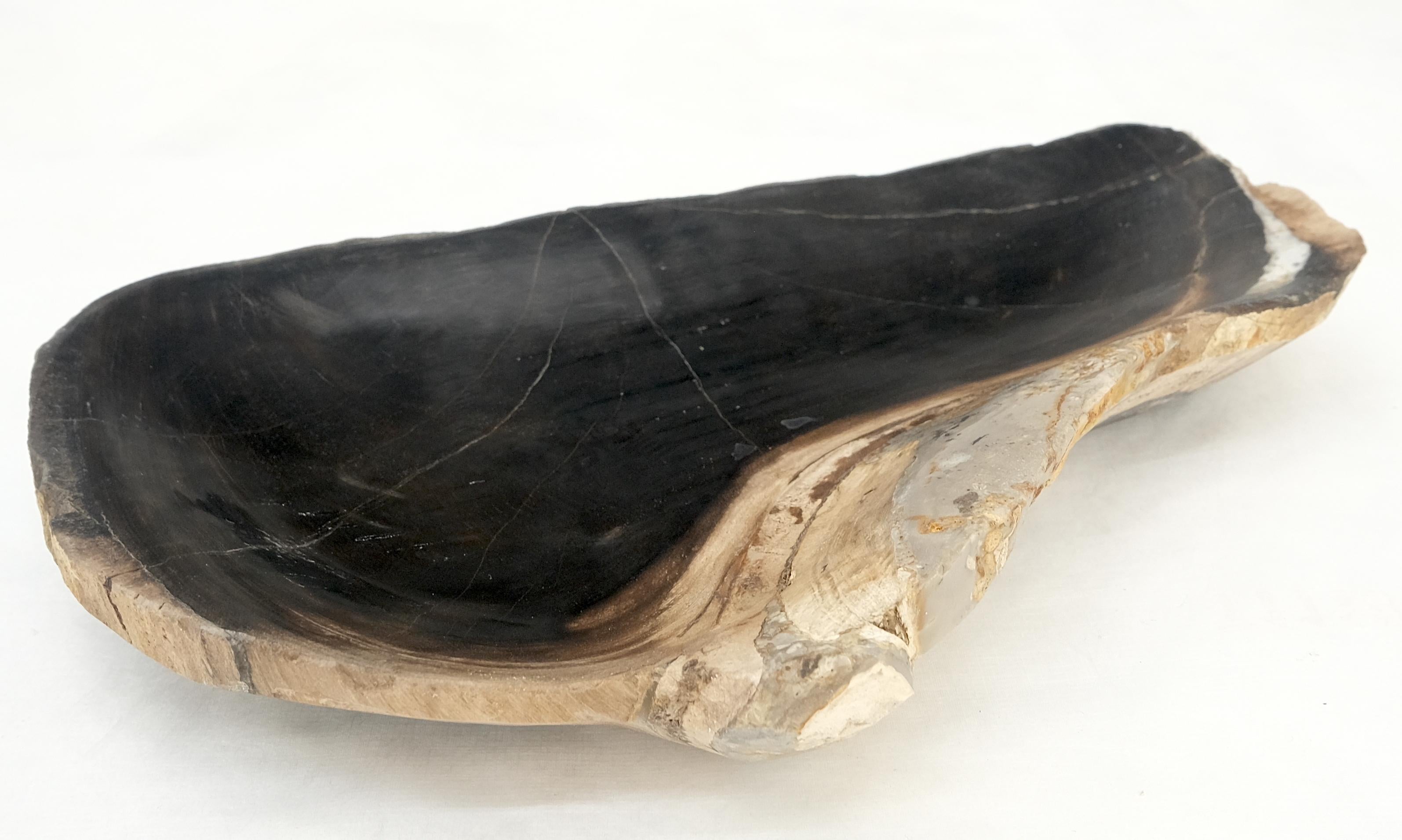 Mid-Century Modern Petrified Wood Oyster Shape Solid Black Elongated Bowl Dish Large Plate Ashtray For Sale