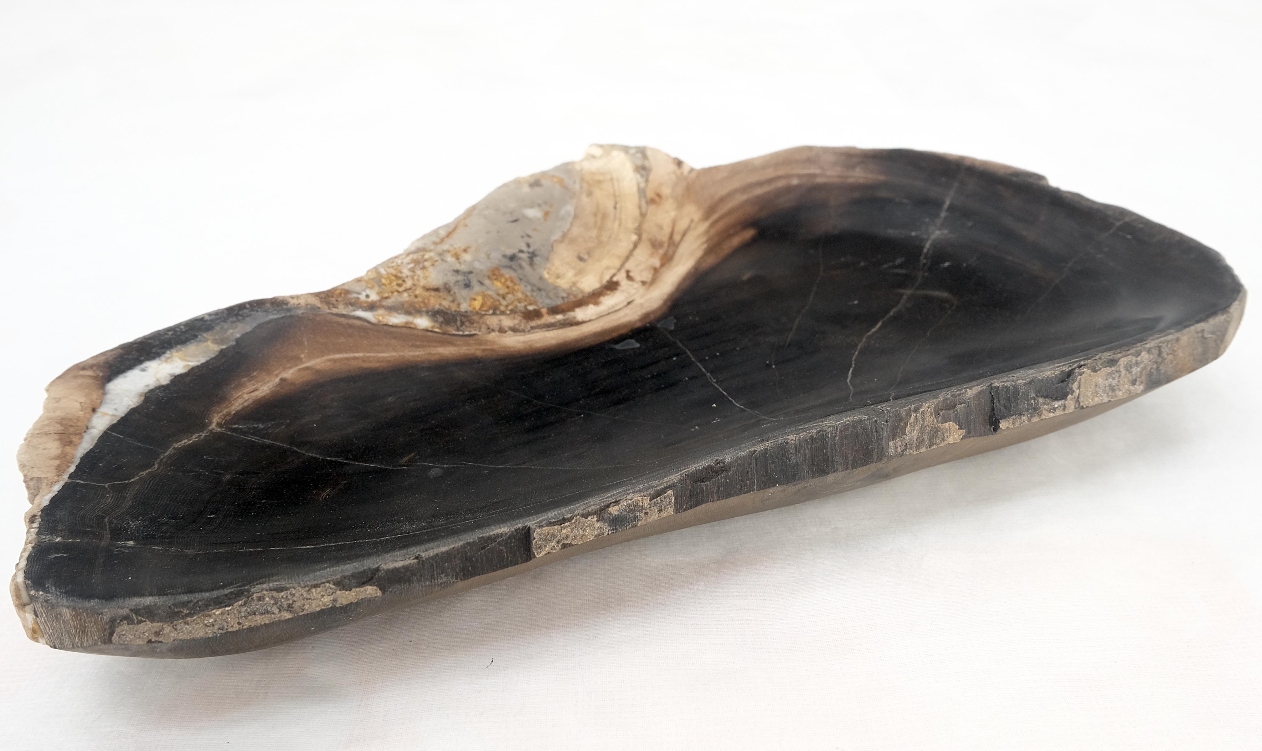 Indonesian Petrified Wood Oyster Shape Solid Black Elongated Bowl Dish Large Plate Ashtray For Sale