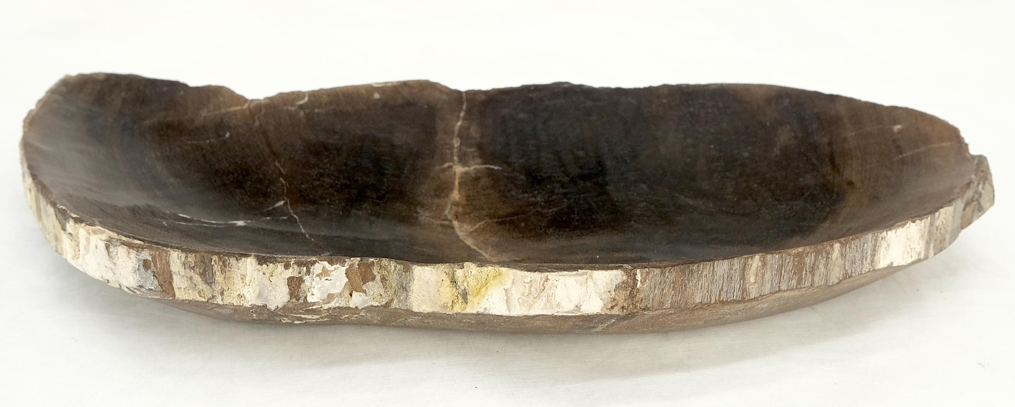 Indonesian Petrified Wood Oyster Shape Solid Black Elongated Bowl Dish Large Plate Ashtray For Sale
