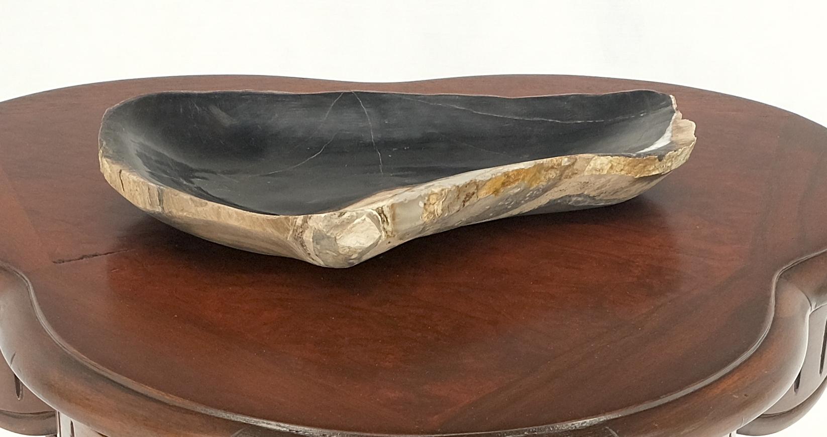 Petrified Wood Oyster Shape Solid Black Elongated Bowl Dish Large Plate Ashtray For Sale 1